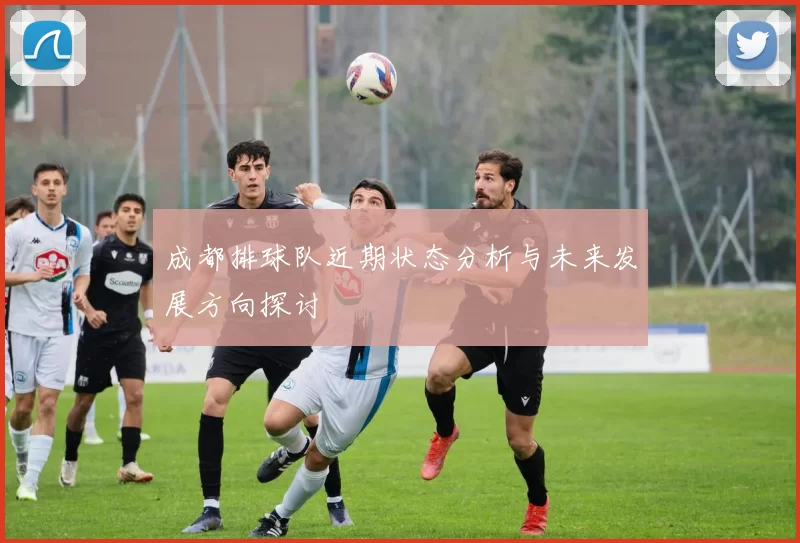 成都排球队近期状态分析与未来发展方向探讨