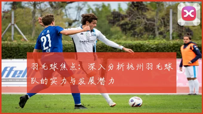 羽毛球焦点：深入分析杭州羽毛球队的实力与发展潜力