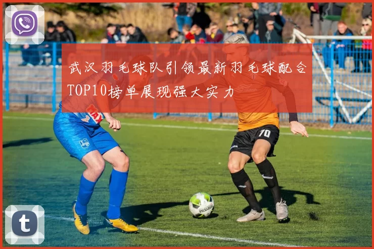武汉羽毛球队引领最新羽毛球配合TOP10榜单展现强大实力