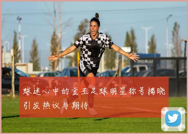 球迷心中的金王足球明星称号揭晓引发热议与期待