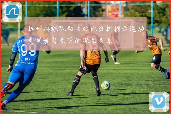 杭州排球队耐力对比分析揭示运动员训练与表现的深层关系