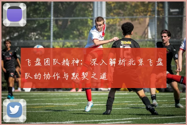 飞盘团队精神：深入解析北京飞盘队的协作与默契之道