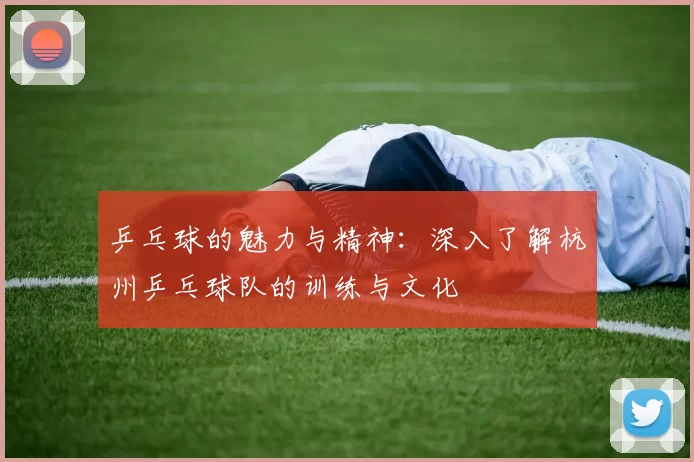 乒乓球的魅力与精神：深入了解杭州乒乓球队的训练与文化
