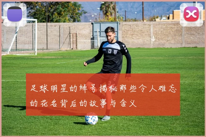 足球明星的绰号揭秘那些令人难忘的花名背后的故事与含义