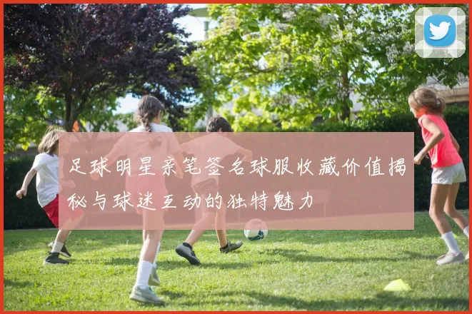 足球明星亲笔签名球服收藏价值揭秘与球迷互动的独特魅力