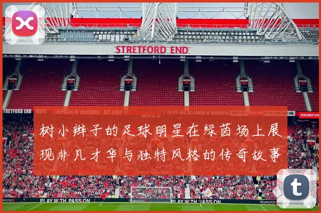 树小辫子的足球明星在绿茵场上展现非凡才华与独特风格的传奇故事
