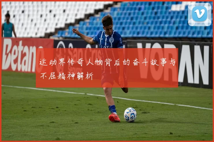 运动界传奇人物背后的奋斗故事与不屈精神解析