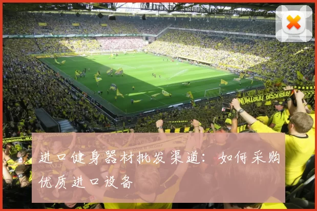 进口健身器材批发渠道：如何采购优质进口设备