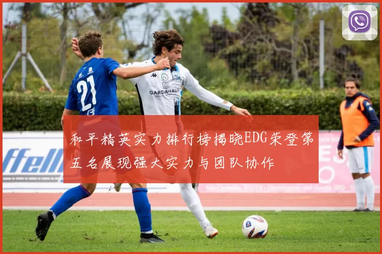 和平精英实力排行榜揭晓EDG荣登第五名展现强大实力与团队协作