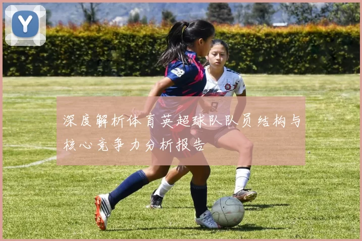 深度解析体育英超球队队员结构与核心竞争力分析报告