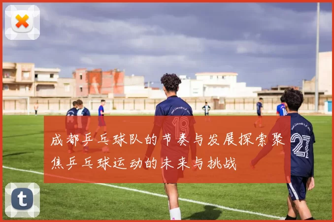 成都乒乓球队的节奏与发展探索聚焦乒乓球运动的未来与挑战